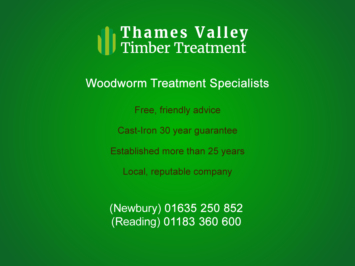woodworm treatment specialists